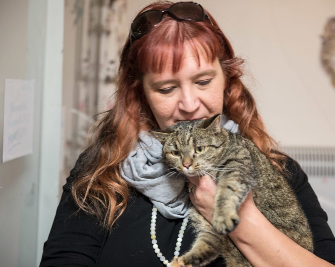 Mira Ekholm-Martikaisen avulla kulkeutuu uusiin koteihin myös kotikissoja. Aiemman omistajan allergian takia uutta kotia etsineelle kolmivuotiaalle kissalle on jo tiedossa uuden kodin osoite.