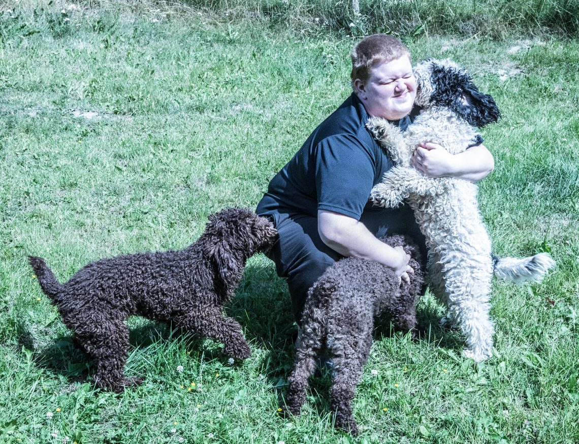 Aihekuva. Jere Pitkänen kolmen espanjanvesikoiran piirittämänä.
